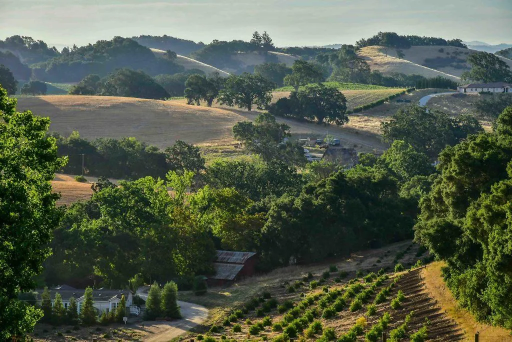 Orchard Hill Farm-1